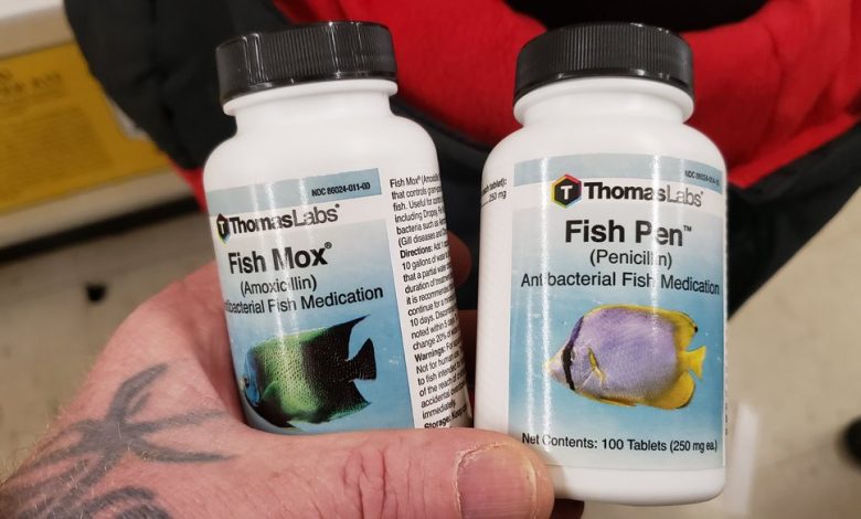 Fish Antibiotics For Humans