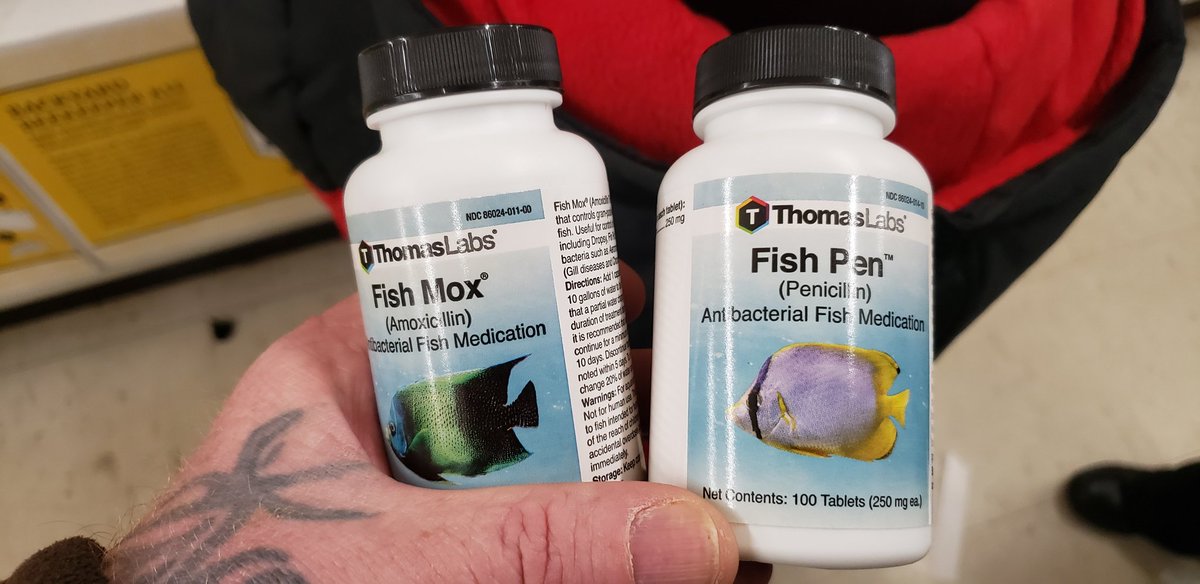 Fish Antibiotics For Humans