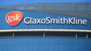 GSK's Cancer Drug Combination Achieves Primary Goal in Late Stage Trial for Endometrial Cancer