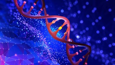 Global Gene Therapy Market Expected to Surge by USD 4,613.9 Million from 2022 to 2027