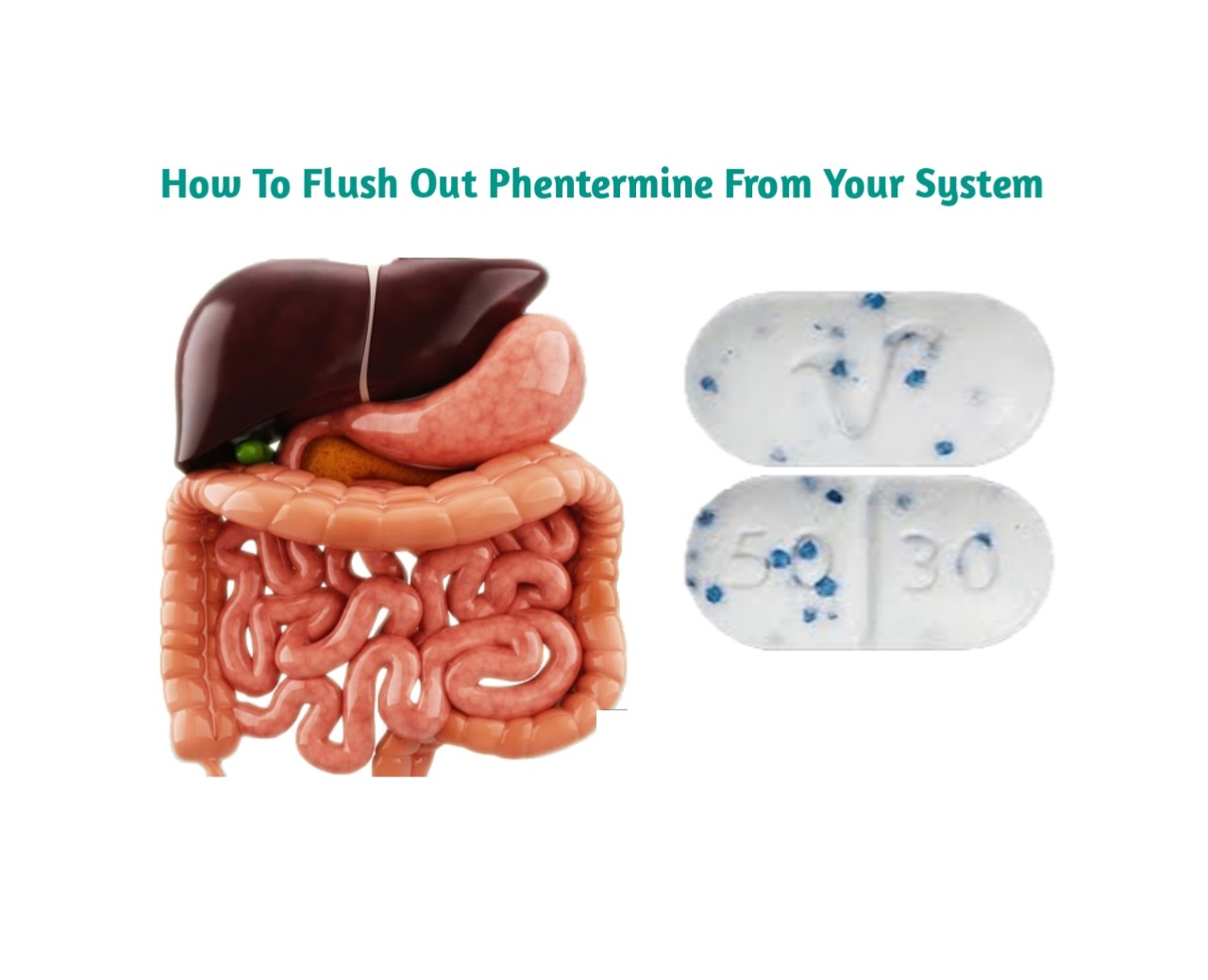 How to Flush Phentermine Out of Your System