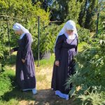 Mexico's Weed 'Nuns' Strive to Reclaim Plant from Narcos