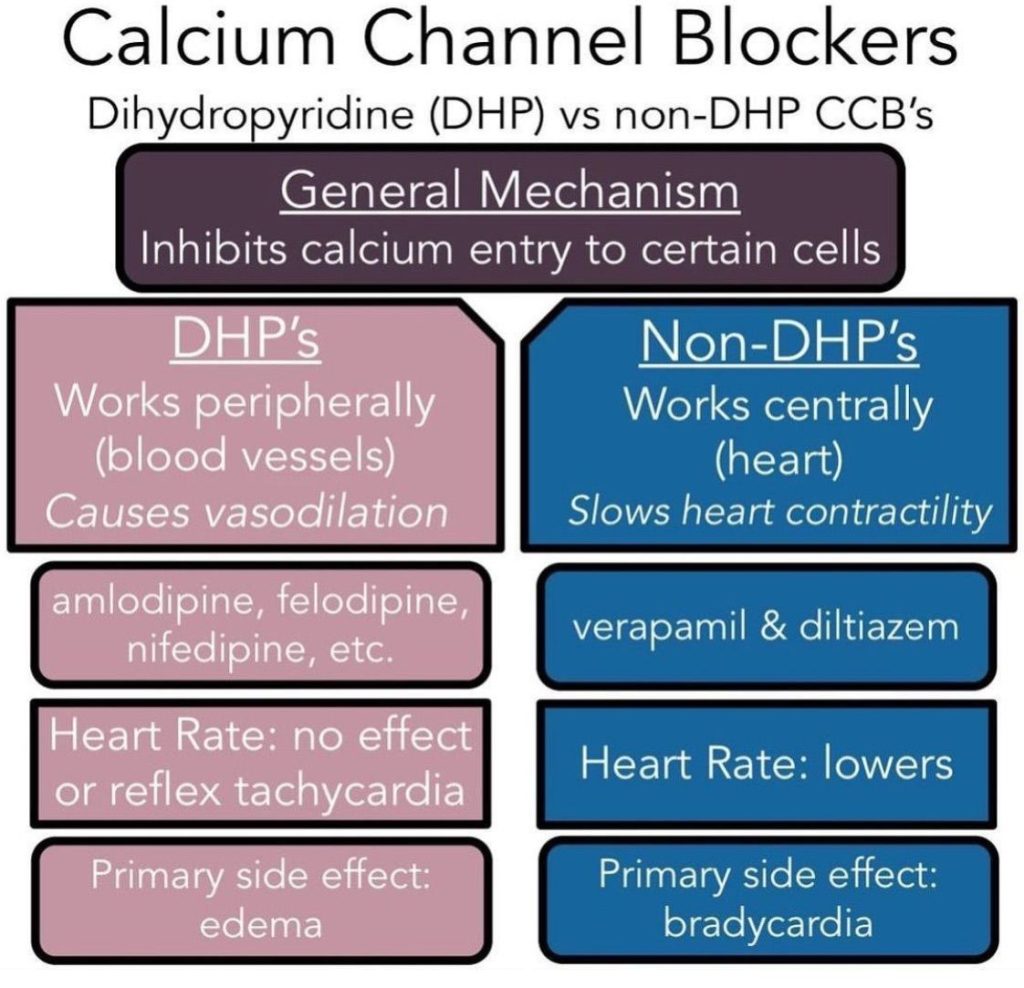Nondihydropyridine Calcium Channel Blockers Vs Dihydropyridine