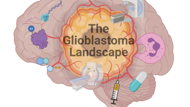 Shuttle Pharma Submits Ropidoxuridine IND for Glioblastoma Treatment to FDA