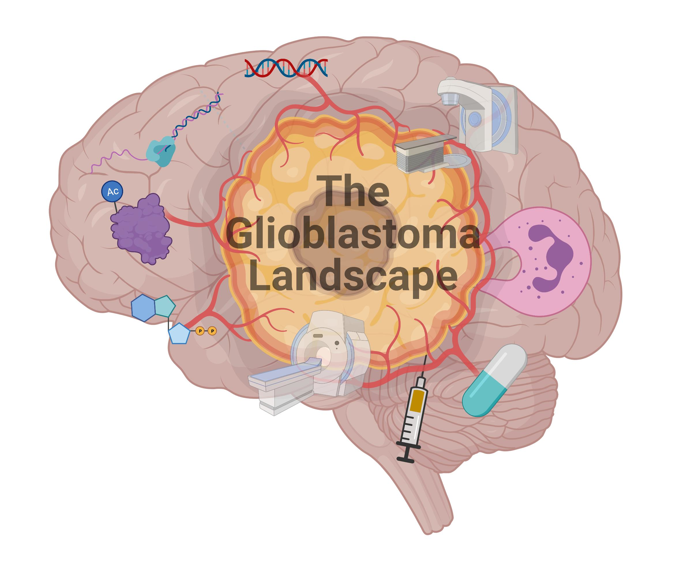 Shuttle Pharma Submits Ropidoxuridine IND for Glioblastoma Treatment to FDA