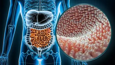 VIP Peptide and Intestinal Barrier Homeostasis Research