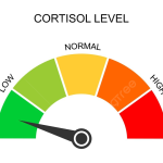 how to reduce Cortisol Levels