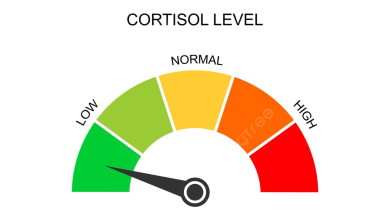 how to reduce Cortisol Levels