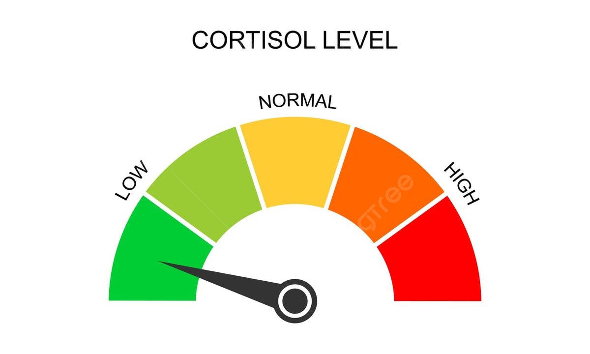 how to reduce Cortisol Levels