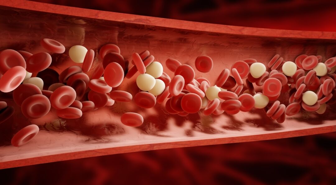 Antithrombotic and Anticoagulant Drugs Market Forecasted to Surge to $46.2 Billion by 2028