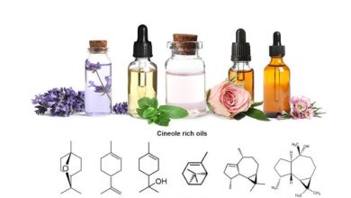 chemical composition of essential oils