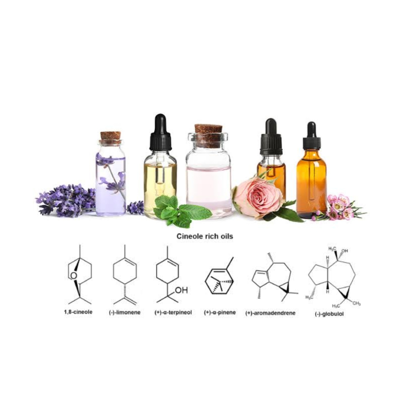 chemical composition of essential oils