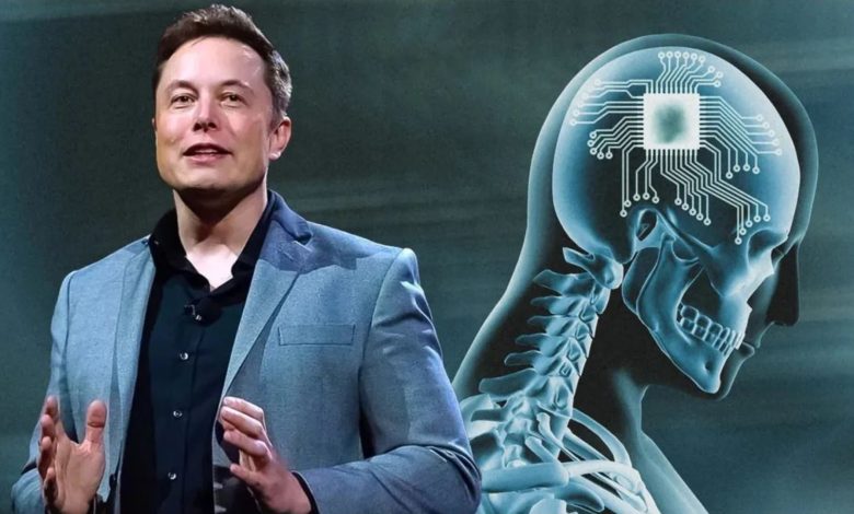 FDA Raises Concerns Over Animal Lab Issues at Musk's Neuralink