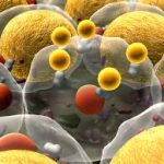 Global 3D Cell Cultures Market Set to Reach $14.8 Billion by 2028