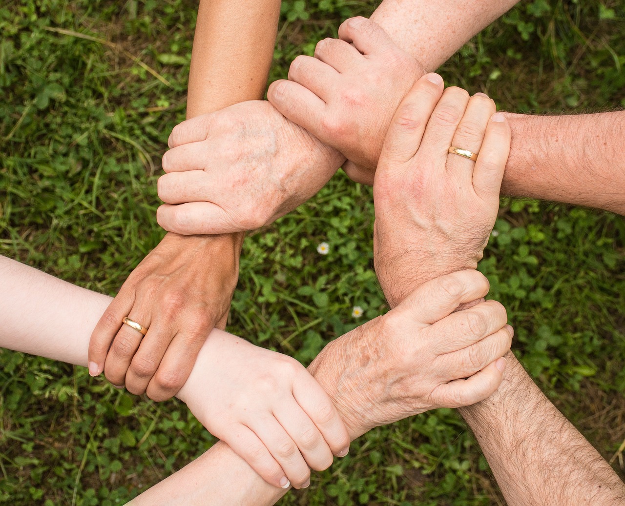 A History of Herd Immunity: What You Need to Know